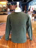 Harley of Scotland Men's Supersoft Wool Crew Neck Sweater in Pine Shadow