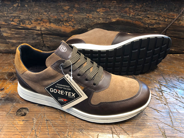 ara Men's Maverick Gore-Tex Sneaker in Brown