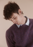 Harley of Scotland Men's Supersoft Wool Crew Neck Sweater in Calluna Shaggy Brush